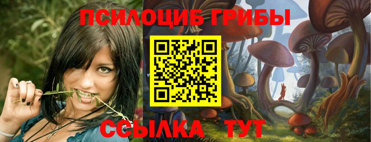 Звенигород  Галлюциногенные грибы Psilocybe  Вход с VPN  Галлюциногенные грибы ЛСД 